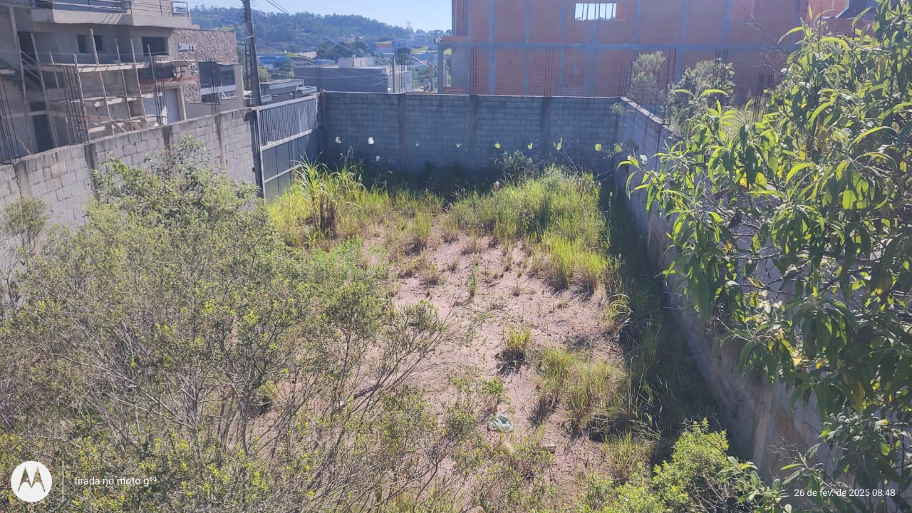 Imagem do WhatsApp de 2025-02-26 à(s) 09.28.38_7912a455