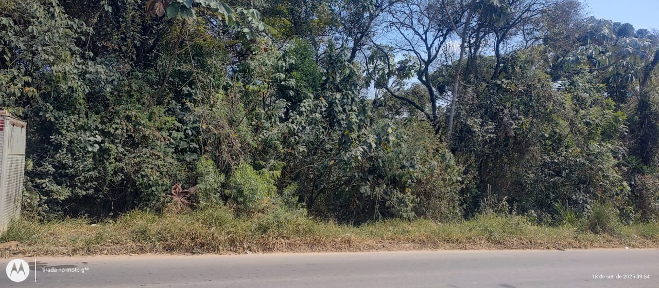 Imagem do WhatsApp de 2025-09-18 à(s) 12.16.18_97788262