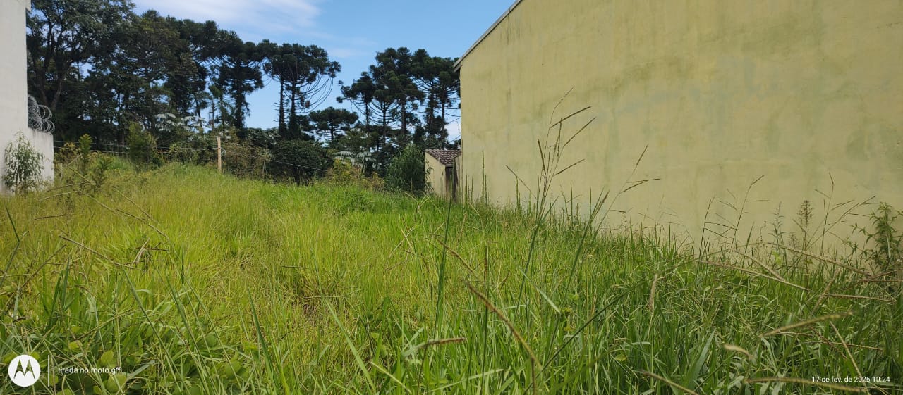 WhatsApp Image 2026-02-19 at 07.51.24