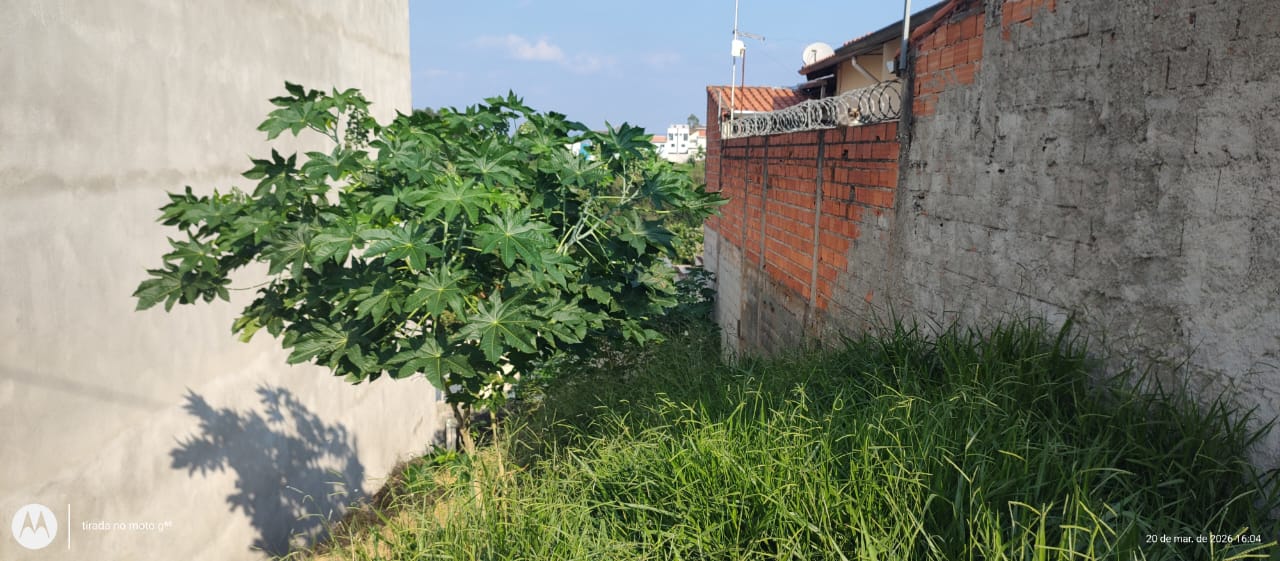 WhatsApp Image 2026-03-26 at 09.35.42