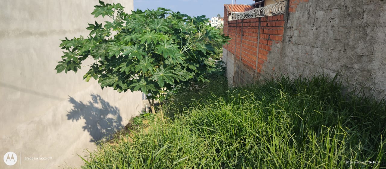 WhatsApp Image 2026-03-26 at 09.35.43 (1)