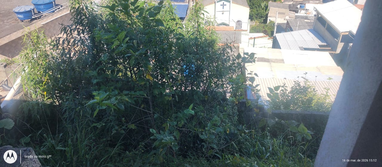 WhatsApp Image 2026-03-26 at 09.36.23 (3)