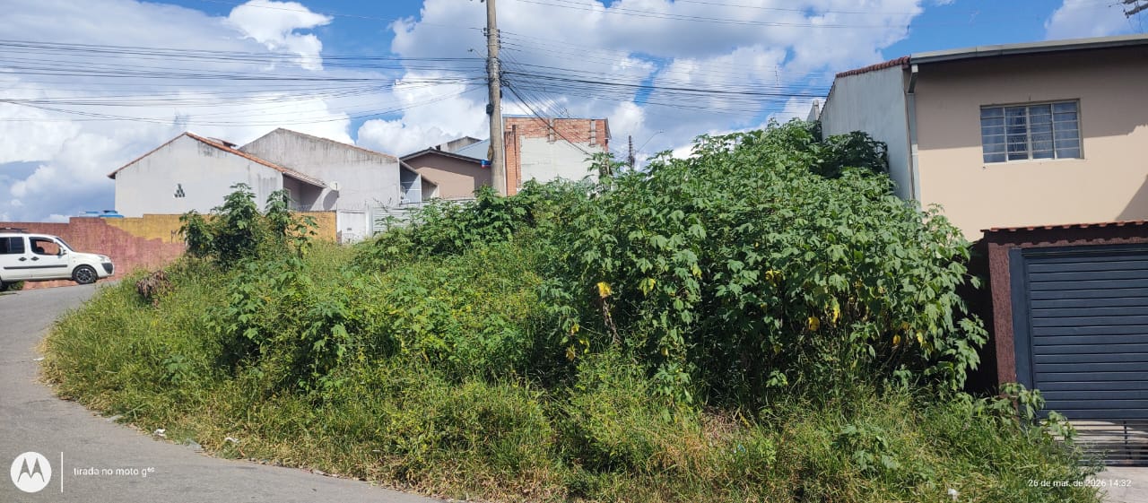 WhatsApp Image 2026-03-26 at 15.39.38