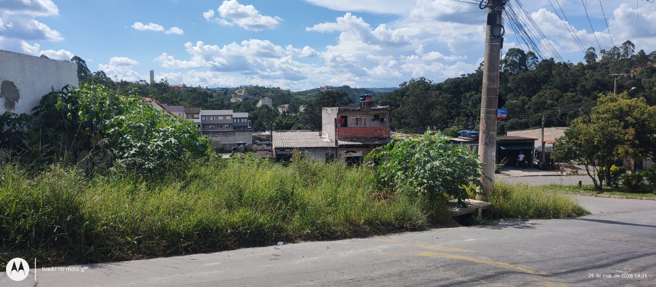 WhatsApp Image 2026-03-26 at 15.39.39