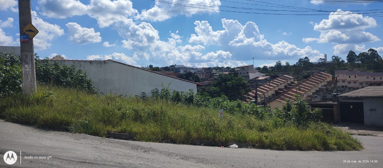 WhatsApp Image 2026-03-26 at 15.39.41