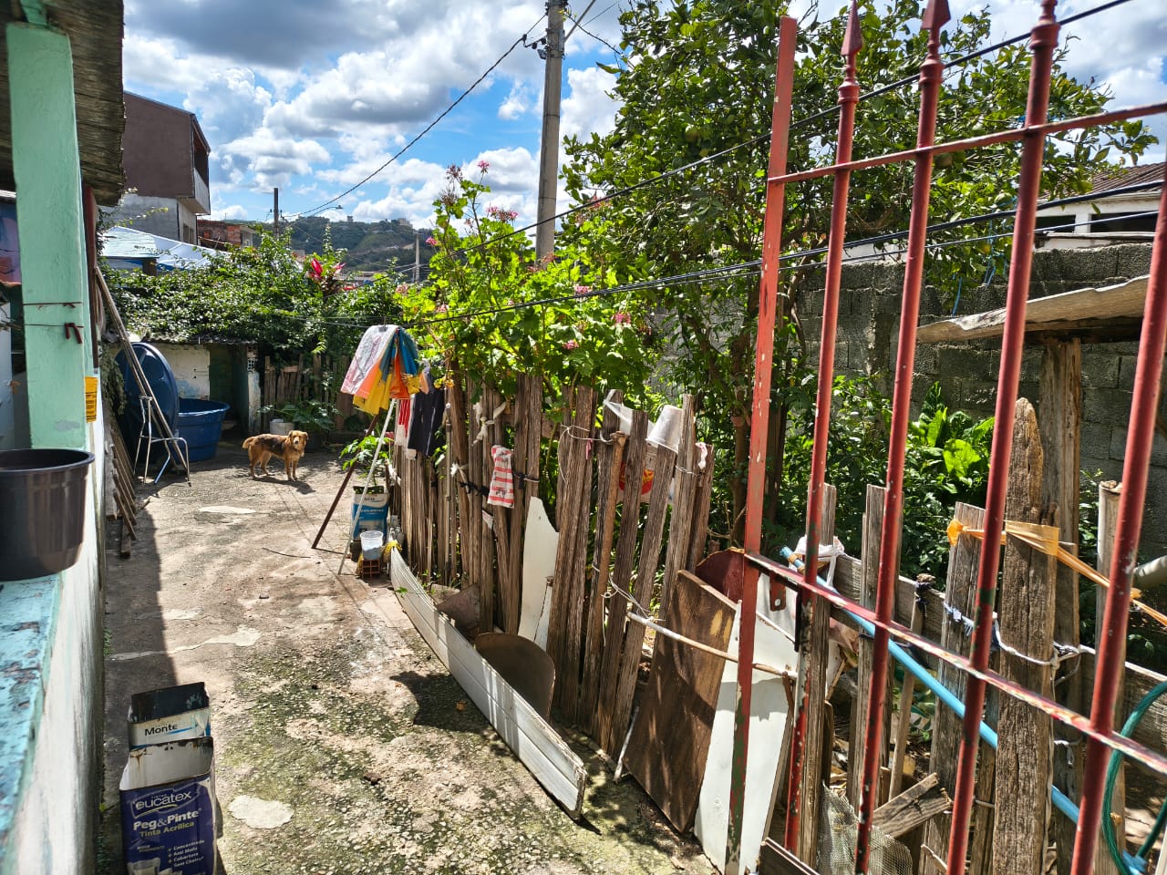 WhatsApp Image 2026-04-04 at 13.53.10 (10)